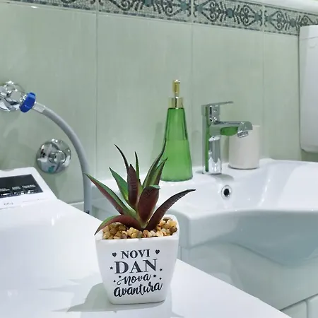 Paradise Flora Centar Belgrade